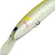画像2: フォトン75MD(ホワイトラメ鮎) (2)